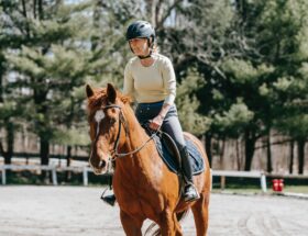 comment s'équiper pour faire du cheval