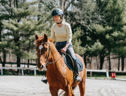 comment s'équiper pour faire du cheval