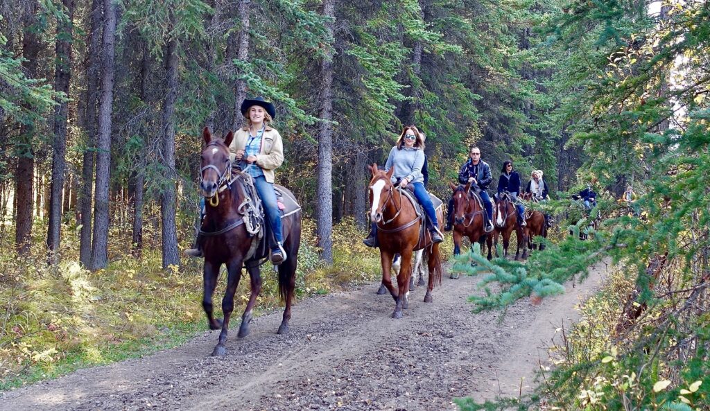 Comment se préparer pour une randonnée à cheval ?