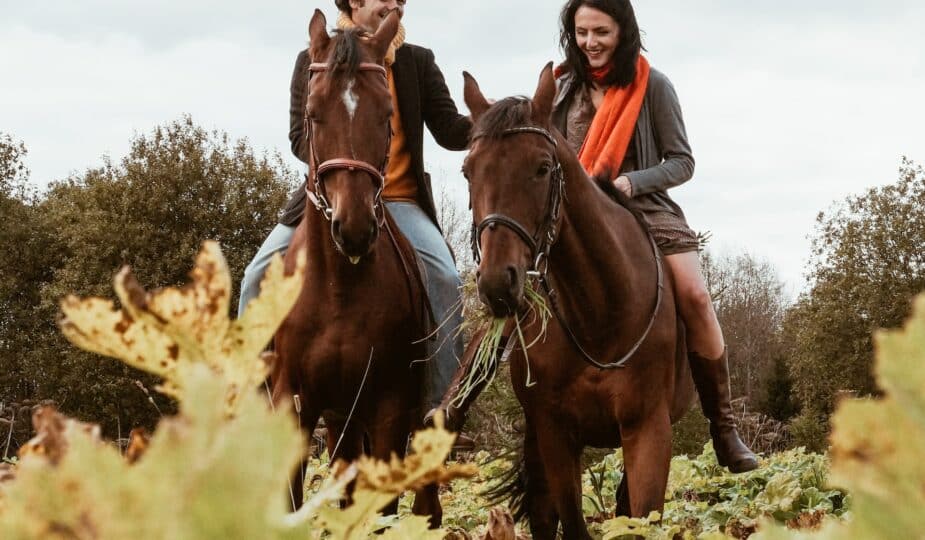 Comment se préparer pour une randonnée à cheval ?