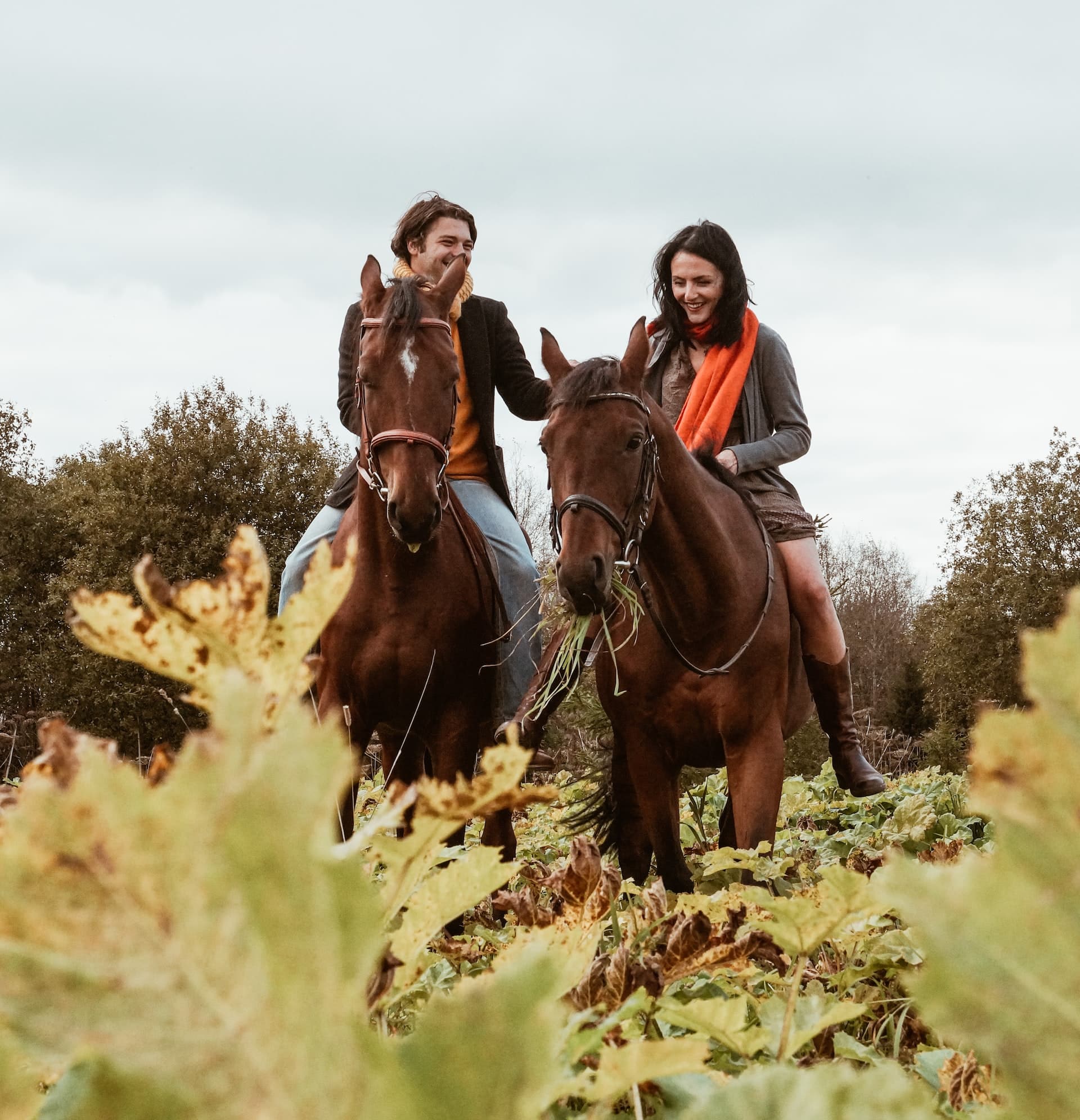 Randonnée à cheval, que savoir ? Préparer sa balade équestre